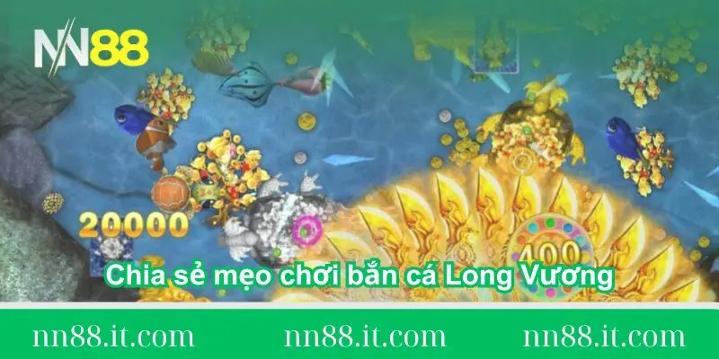 chia-se-meo-choi-ban-ca-long-vuong