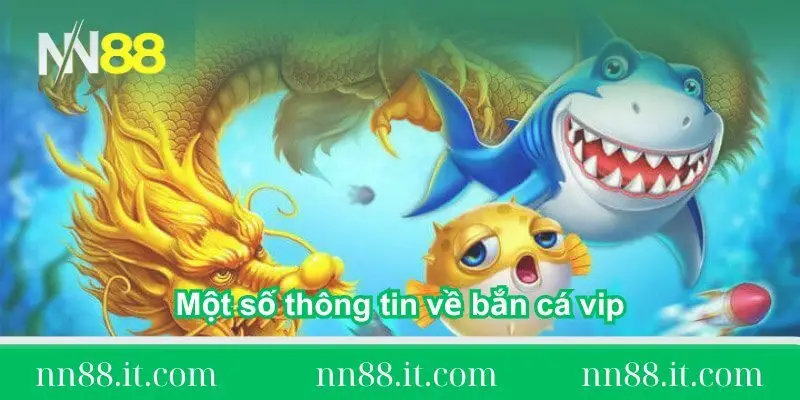 mot-so-thong-tin-ve-ban-ca-vip