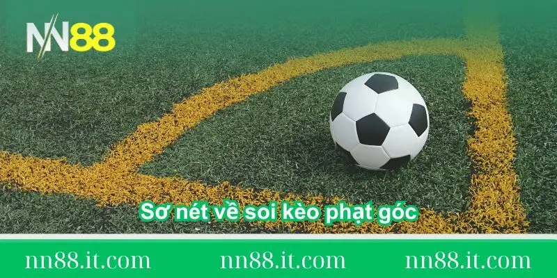 thong-tin-so-net-ve-soi-keo-phat-goc