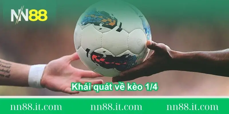 Kèo 1/4 là gì? Cách chơi và chiến thuật đặt cược hiệu quả 1 tong-quan-khai-quat-ve-keo-14
