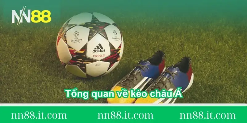 tong-quan-ve-keo-chau-a-la-gi